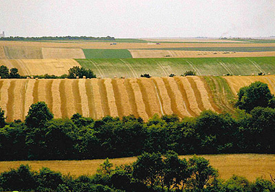 Expo photo LCBO : à la campagne