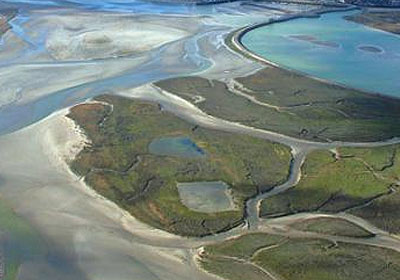 Baie de Somme